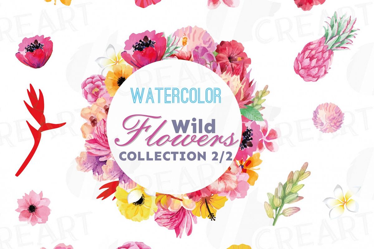 Download Watercolor wild flowers clip art pack, exotic watercolor flowers valentine clip art. Eps, png ...