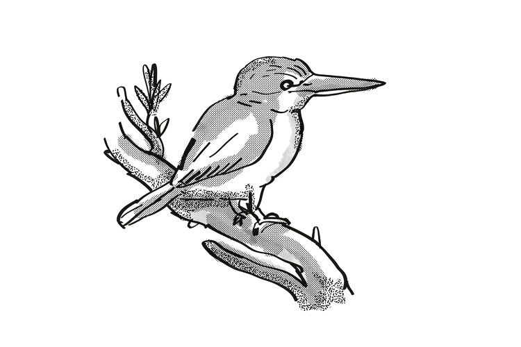 kingfisher New Zealand Bird Cartoon Retro Drawing example image 1