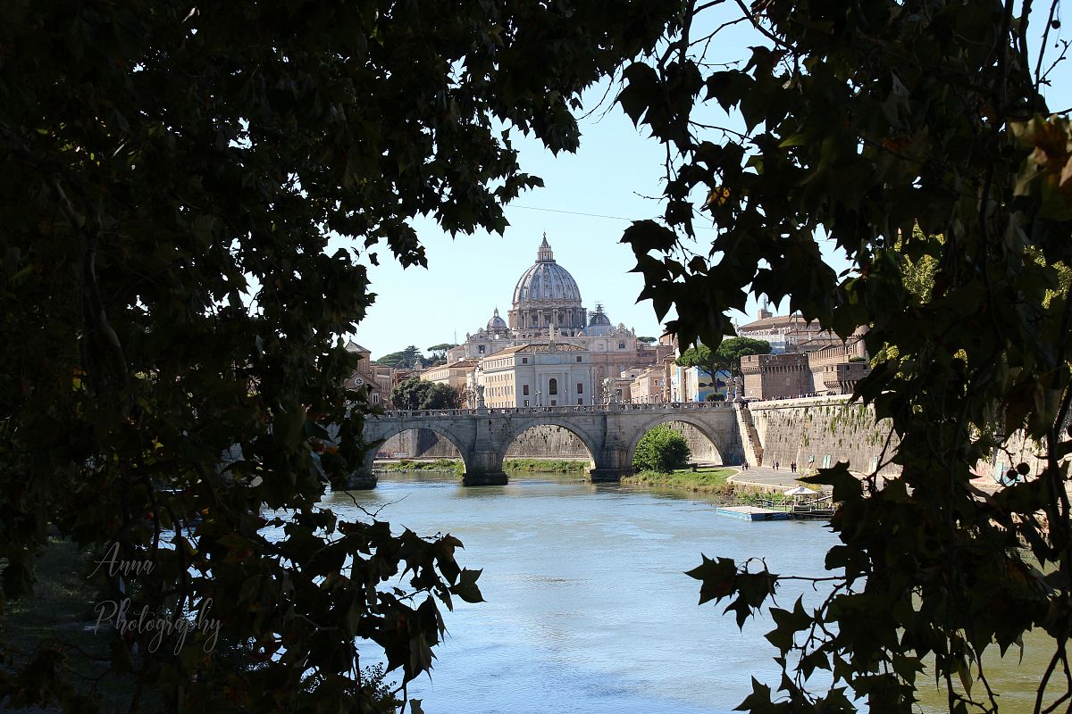 Vatican Bridge through the Trees example image 1
