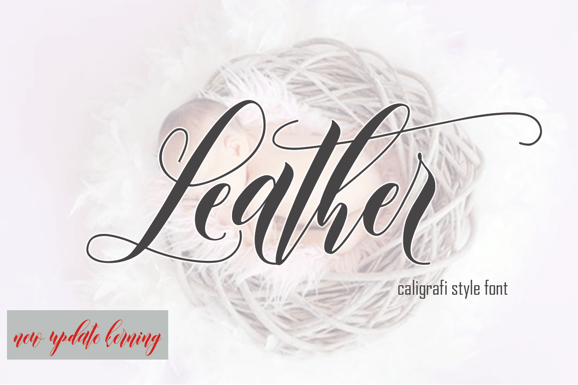 Leather example image 1