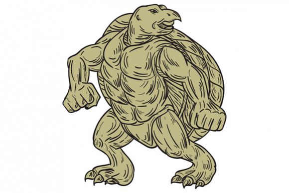 Ridley Sea Turtle Martial Arts Stance Drawing example image 1