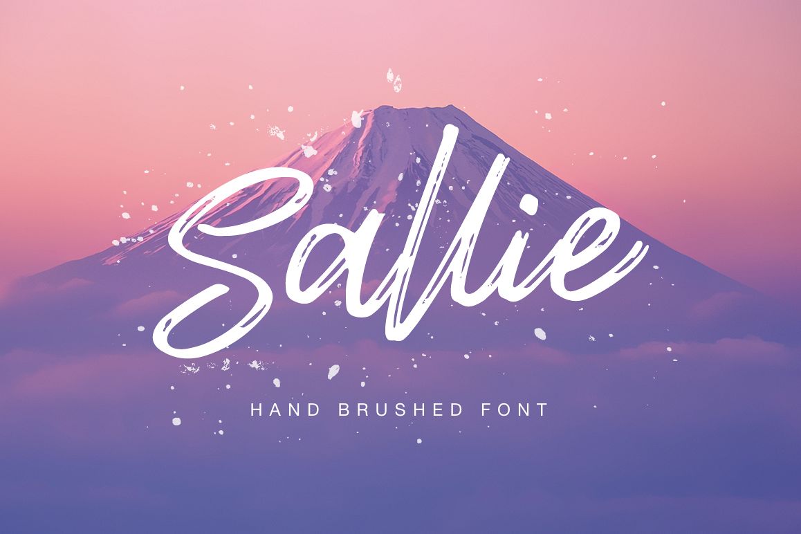 Sallie font example image 1
