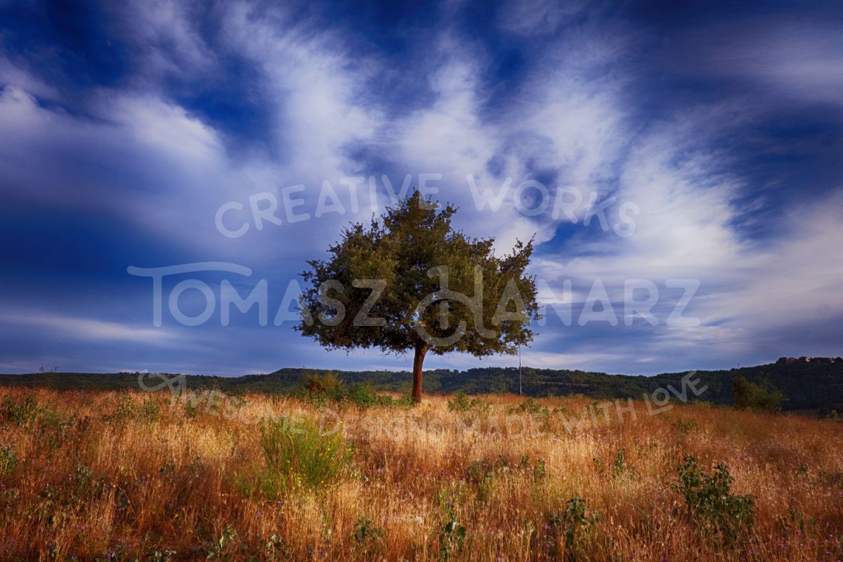 Alone Tree In The Field example image 1