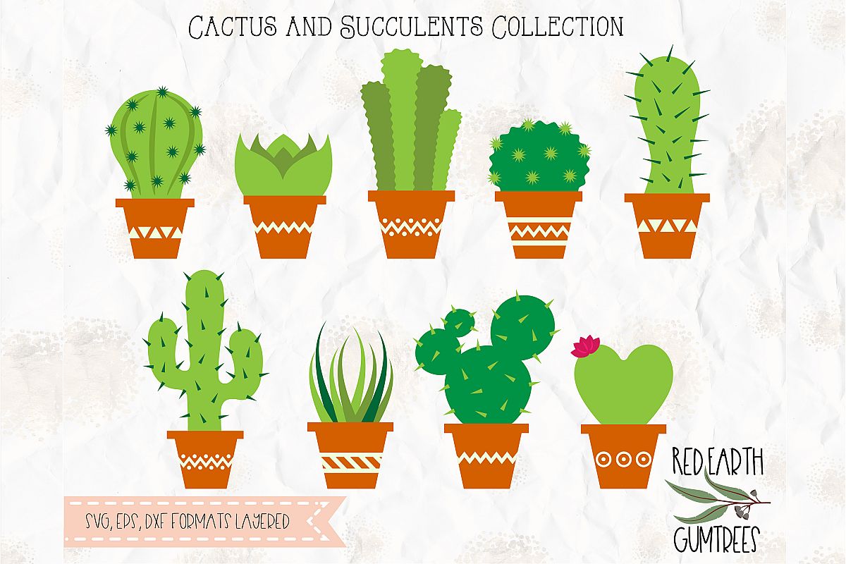 Download Cactus, succulents, cactus in pot SVG, DXF, PNG, EPS formats