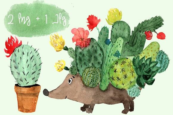 Watercolor Cactus Hedgehog PNG+JPG example image 1