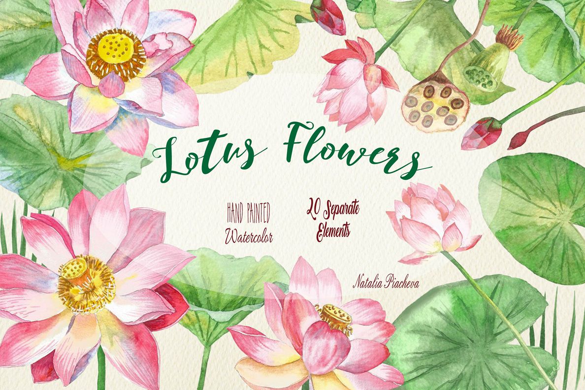 Lotus Flowers example image 1