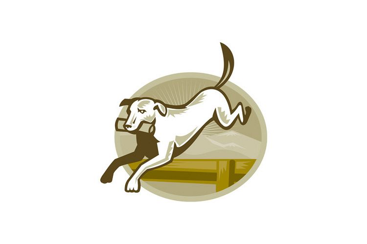 Retriever Dog Training Jumping Hurdle Retro example image 1