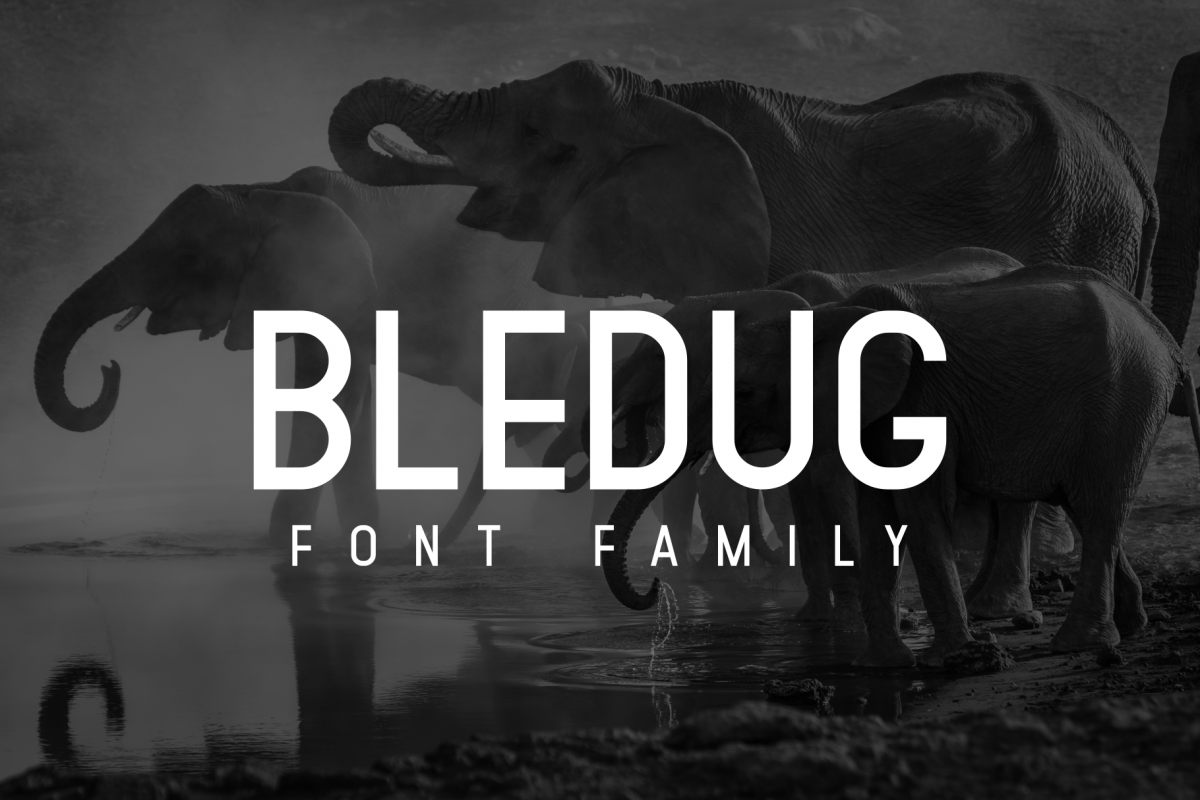 Bledug Font Family example image 1