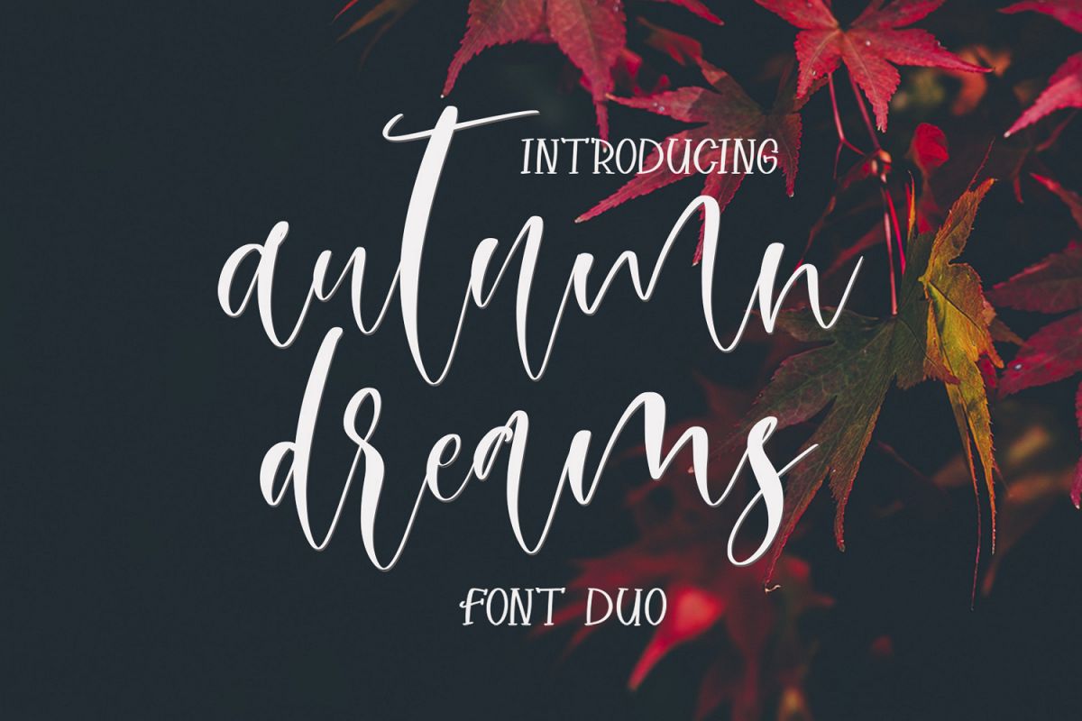 Autumn Dreams Font Duo example image 1