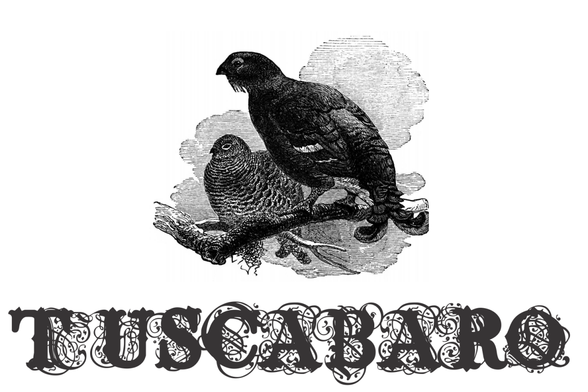 Tuscabaro example image 1