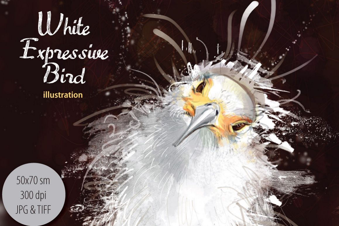 White Bird example image 1