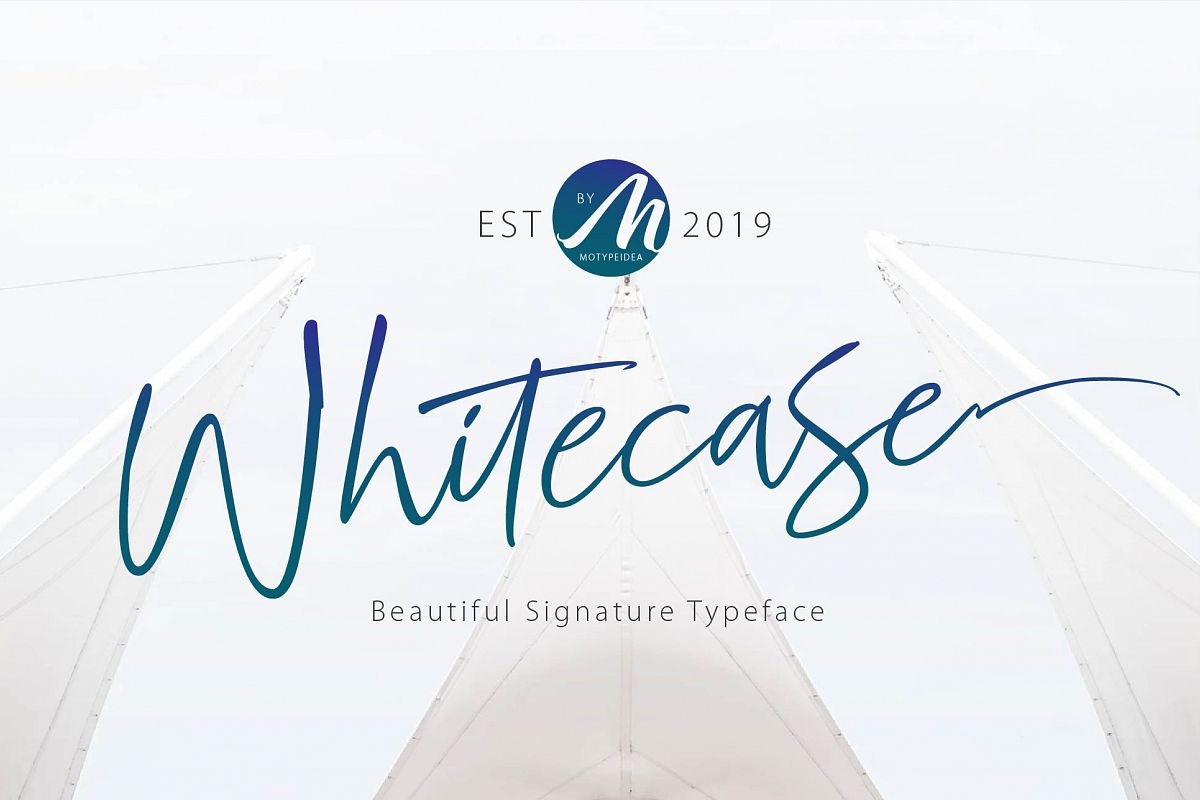 WHITECASE Script example image 1