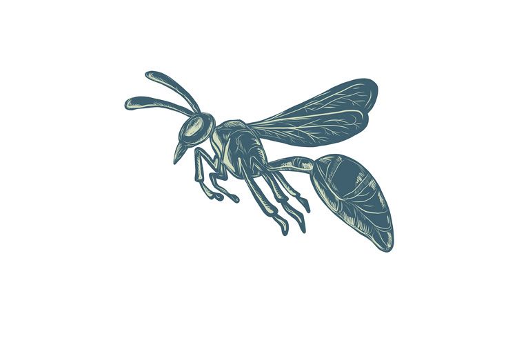 Yellowjacket Flying Scratchboard example image 1