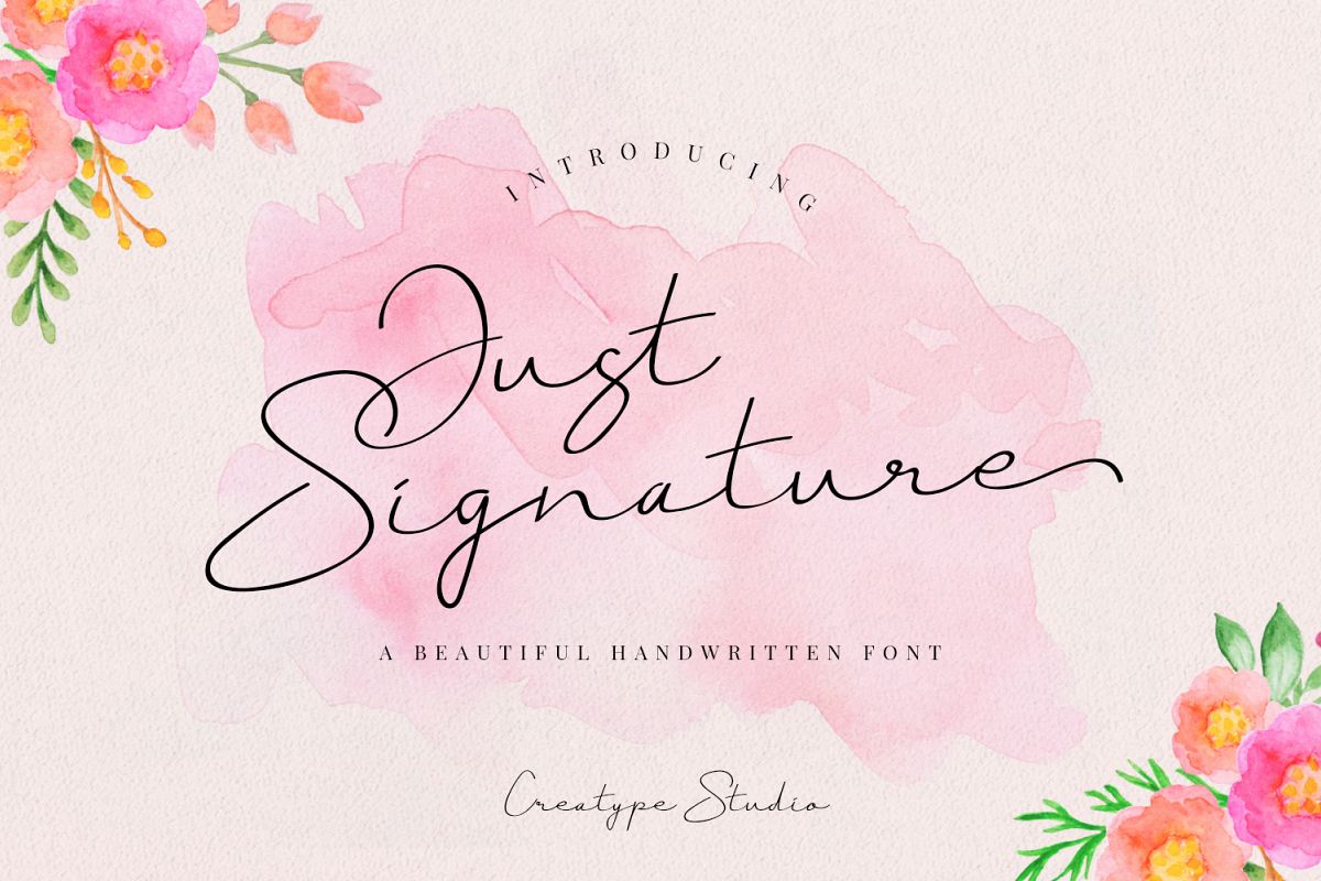 Just Signature Script example image 1