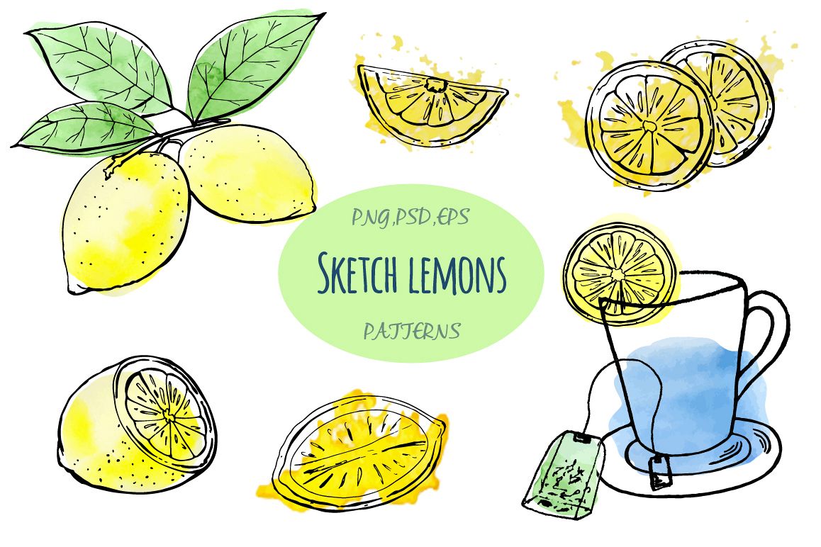 Sketch lemons. Watercolor. Vector. example image 1