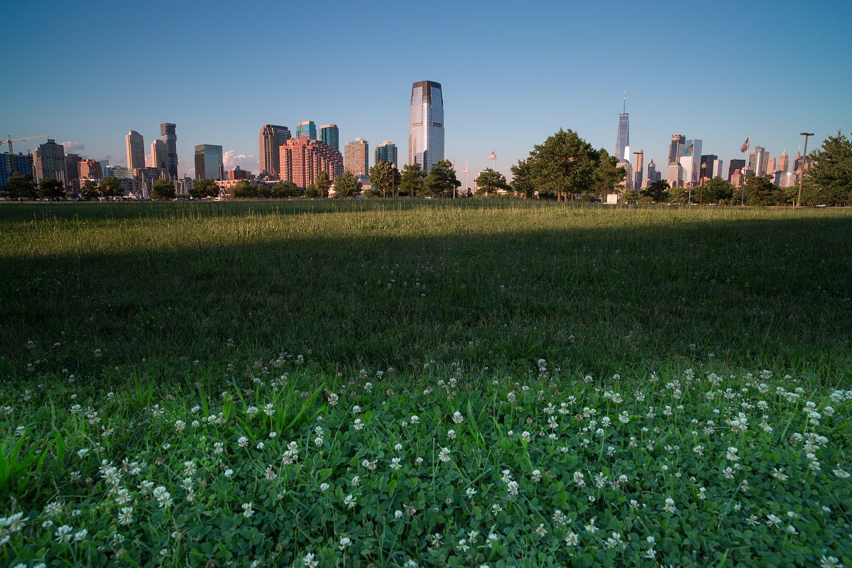 Jersey city from grass viewpoint example image 1