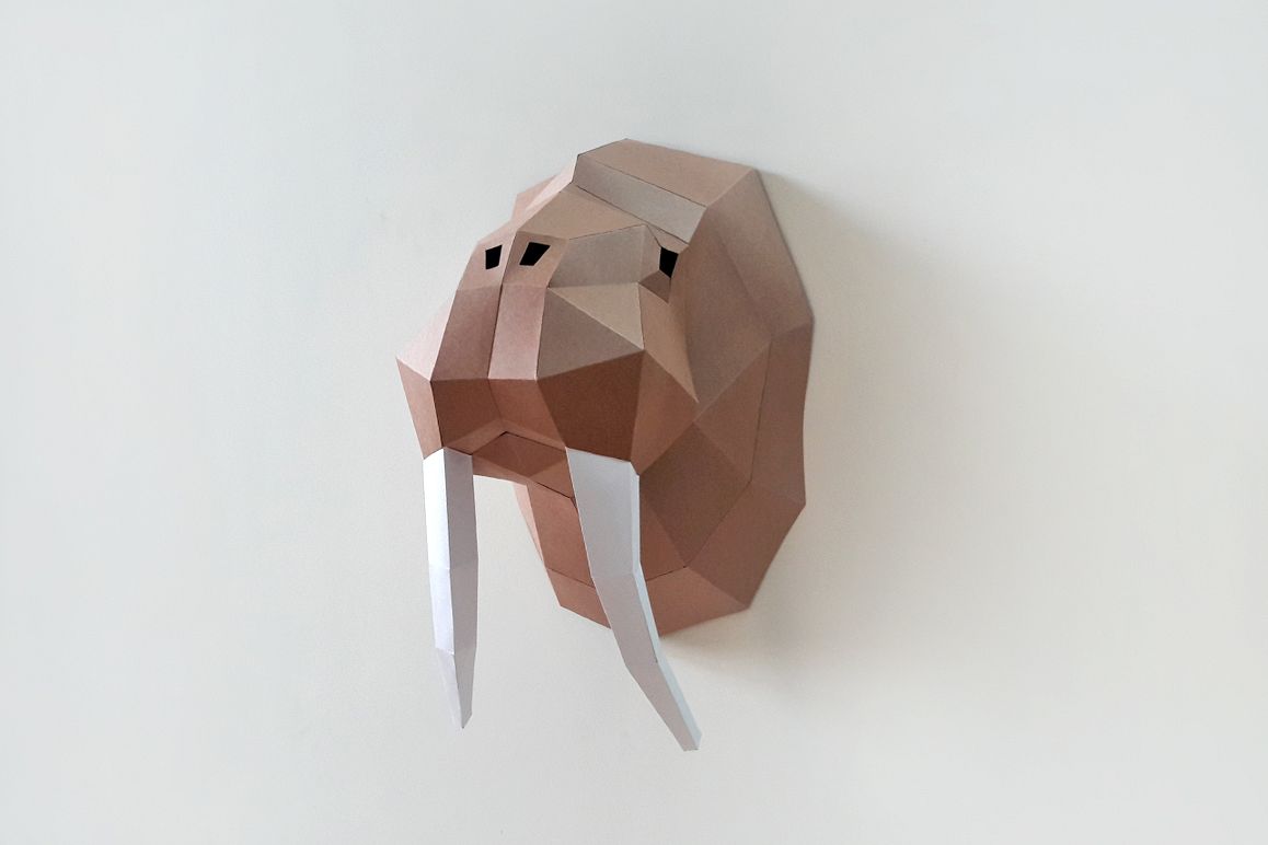 DIY Walrus Trophy - 3d papercraft example image 1