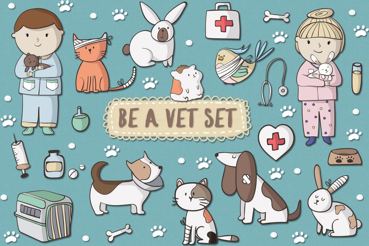 Be A Vet Set example image 1