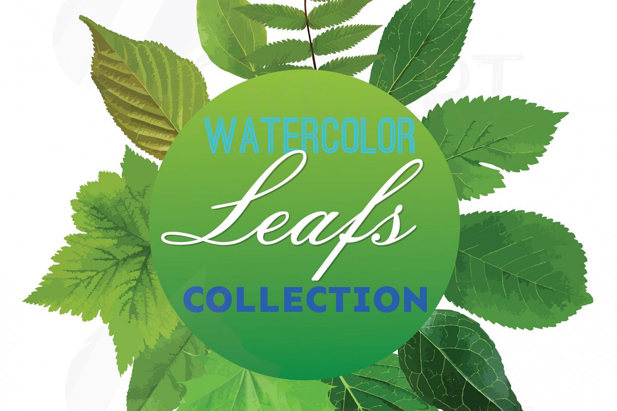 Watercolor leaf clip art pack. Eps, png, jpg, pdf, svg ...
