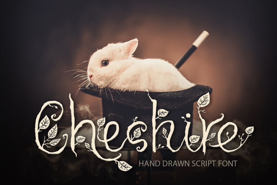 Cheshire. Magic script font. example image 1