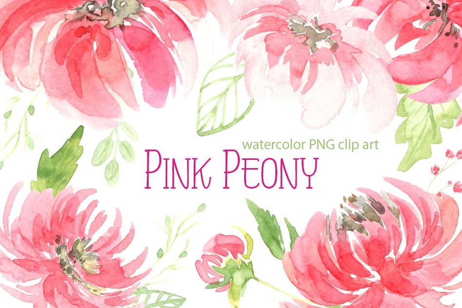 Watercolor peony flowers leaves PNG example image 1