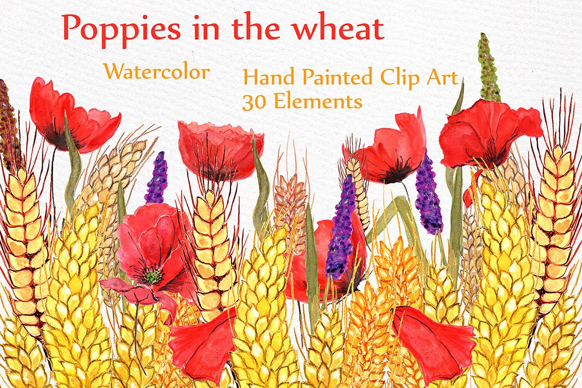Watercolor poppies clipart example image 1