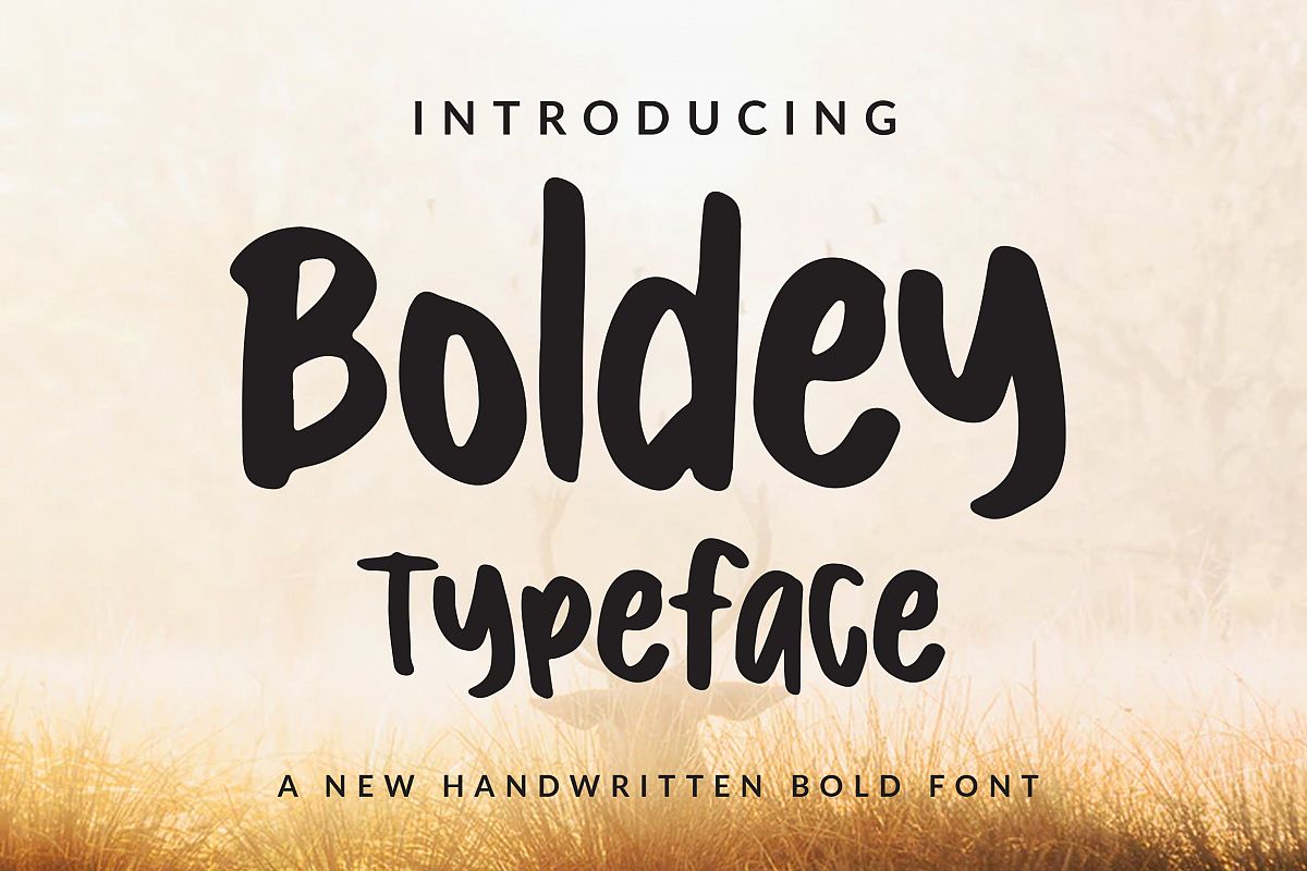 Boldey Typeace - A New Handwritten Bold Font example image 1