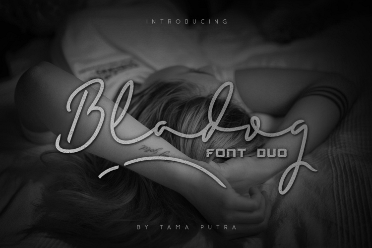 Bladog Script & Display Font Duo example image 1