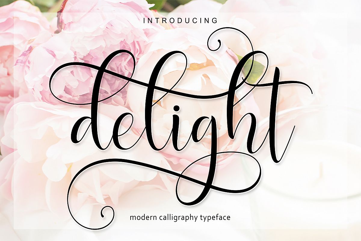 Delight Script | 4 Font example image 1