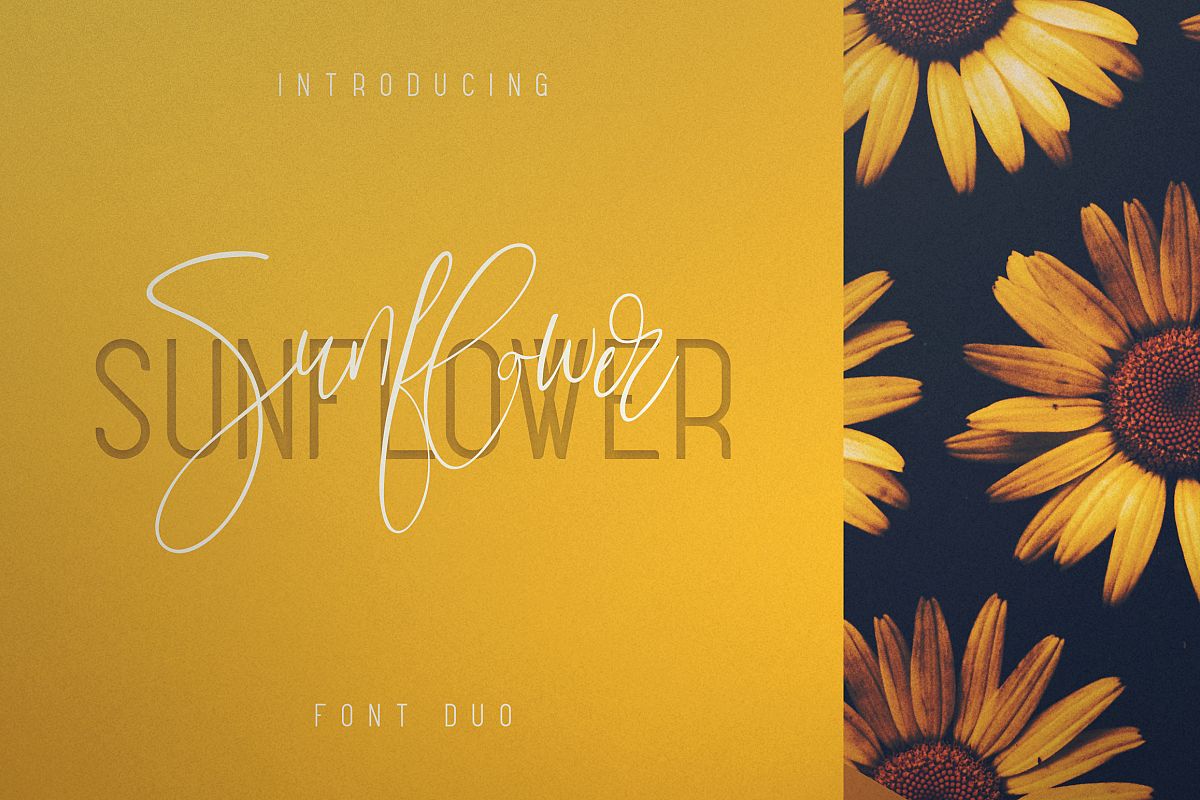 Sunflower - Font Duo example image 1