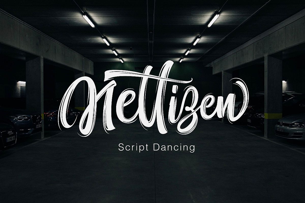 NETTIZEN - Script Dancing example image 1
