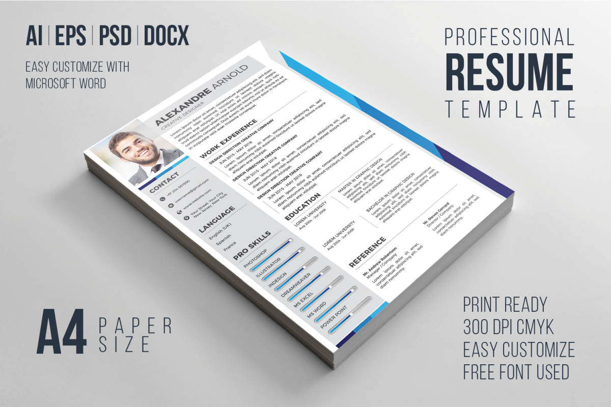 Resume PRO example image 1