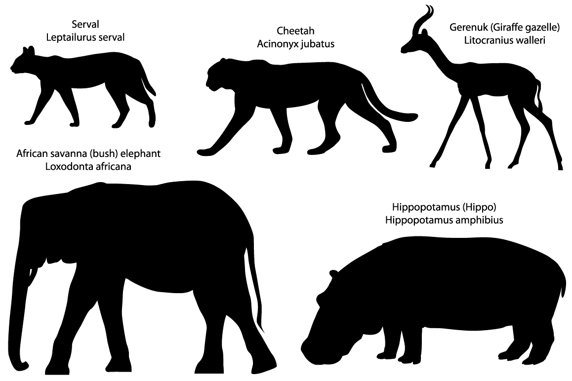 Silhouettes of animals of Africa: serval, cheetah, gerenuk, hippo, elephant example image 1