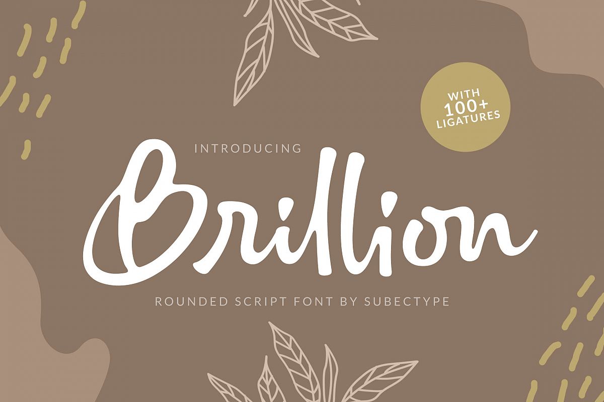 Brillion Rounded Script Font example image 1