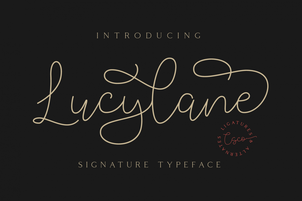 Lucylane - Signature Typeface example image 1