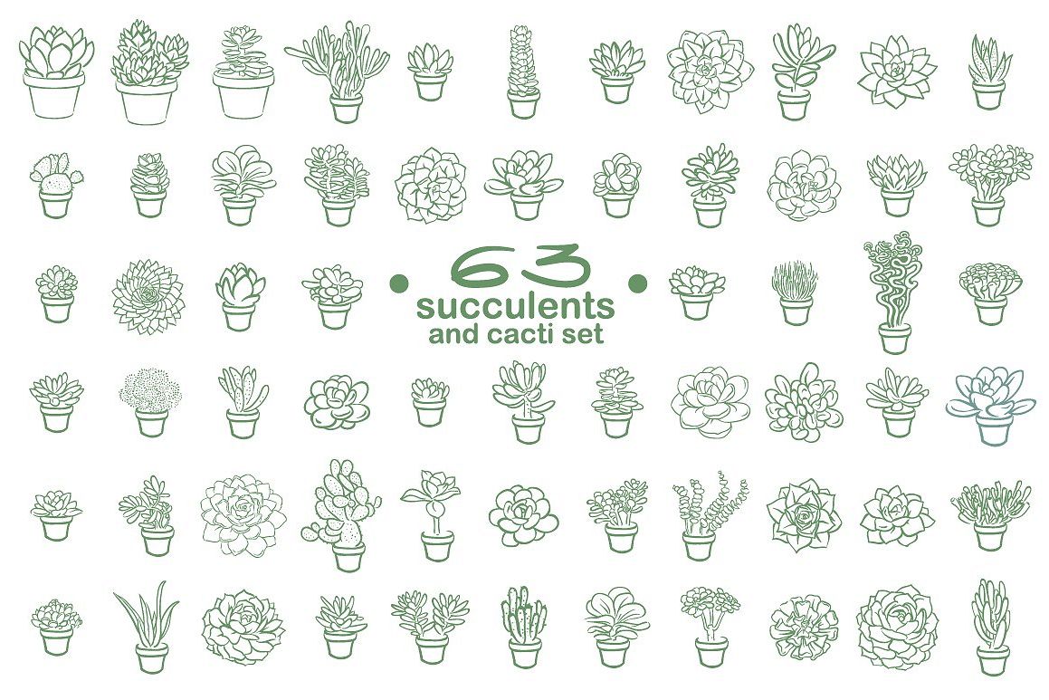 63 Succulents illustration set example image 1