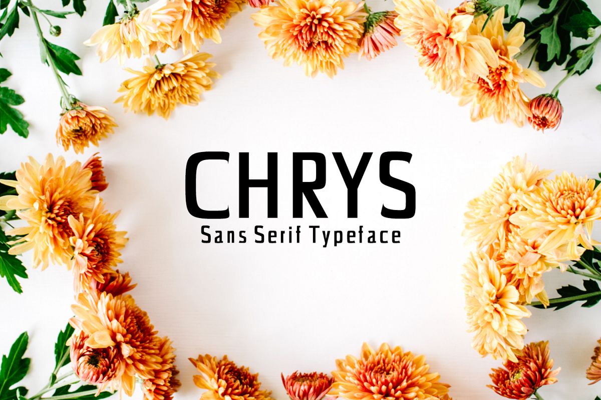 Chrys Sans Serif Typeface example image 1