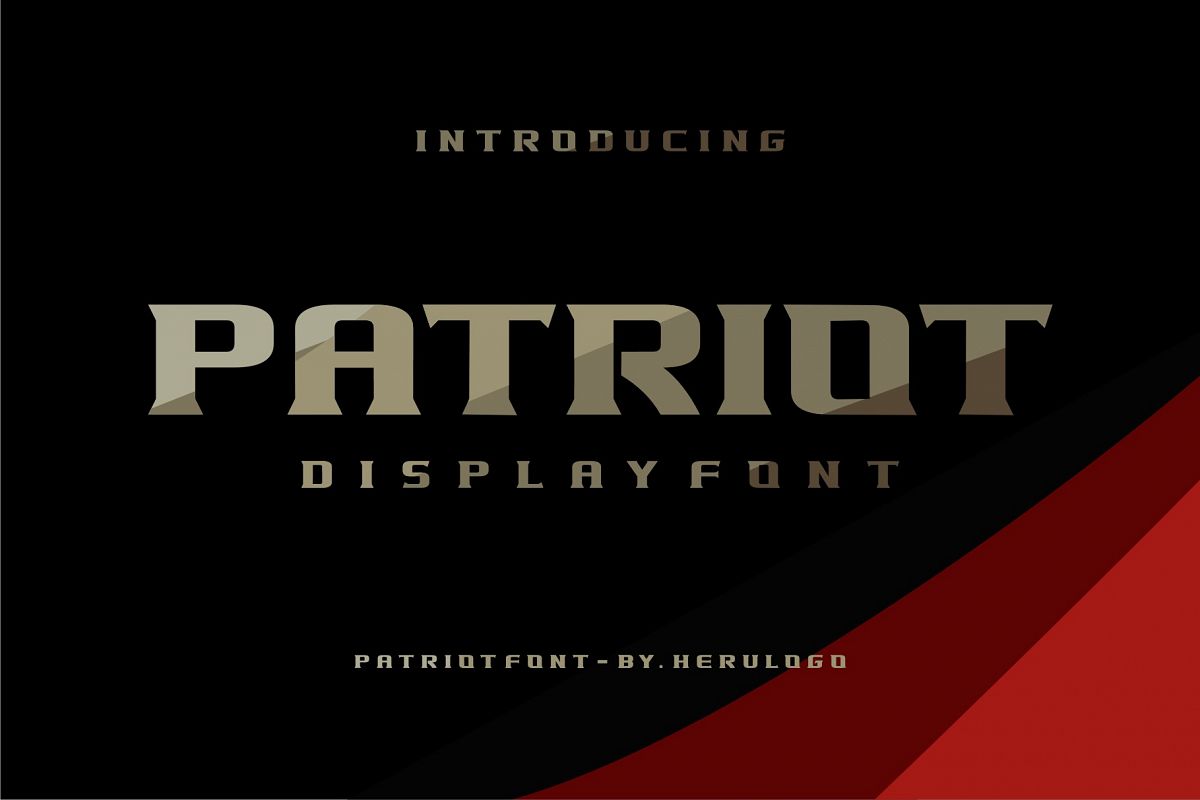 PATRIOT example image 1