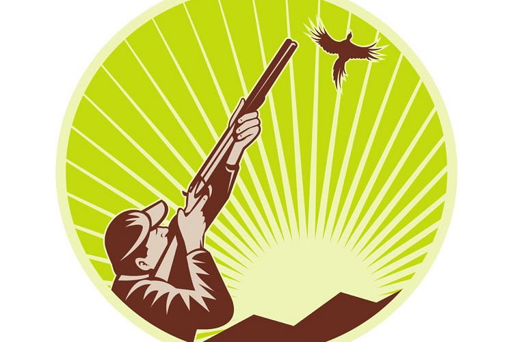 Hunter with shotgun rifle aimng at pheasant example image 1
