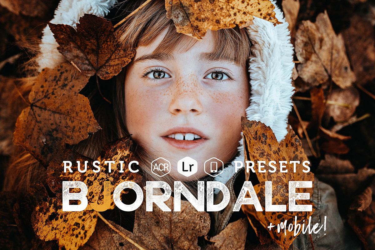 Bjorndale Presets for Lightroom & ACR, Desktop & Mobile example image 1