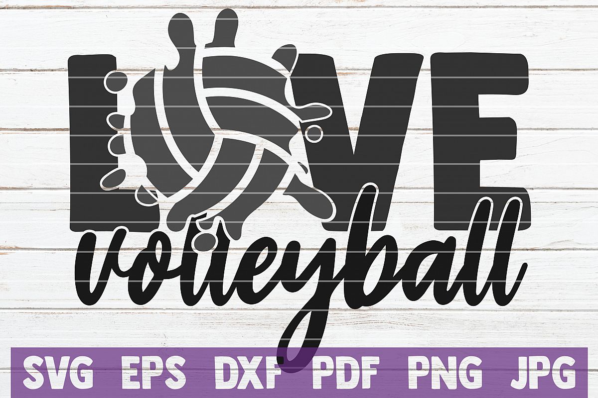 Love Volleyball example image 1