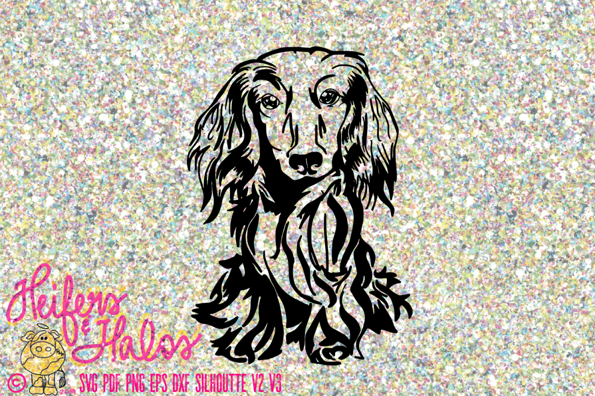 Dachshund long hair doxie dog hand drawin example image 1