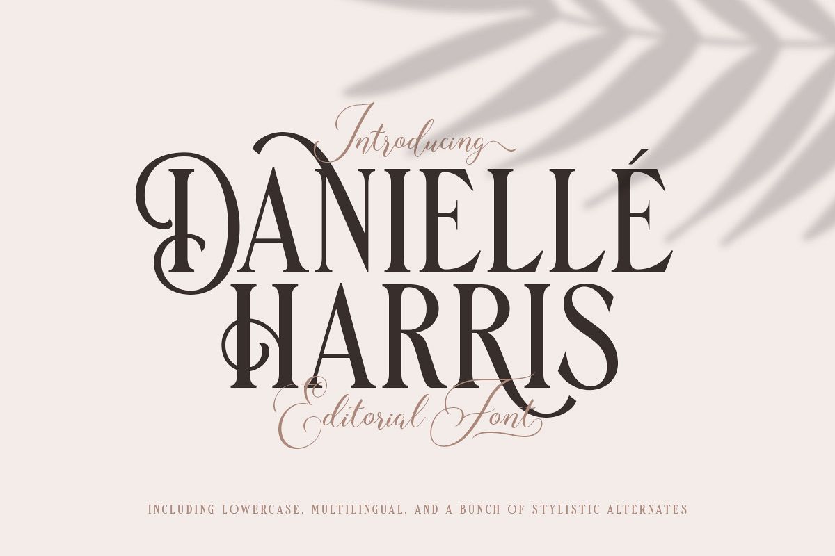 Danielle Harris - Editorial Font example image 1