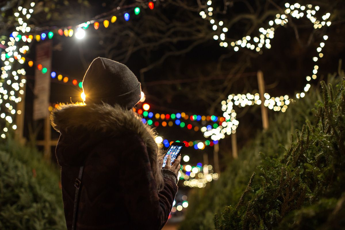 Girl picking christmas tree example image 1