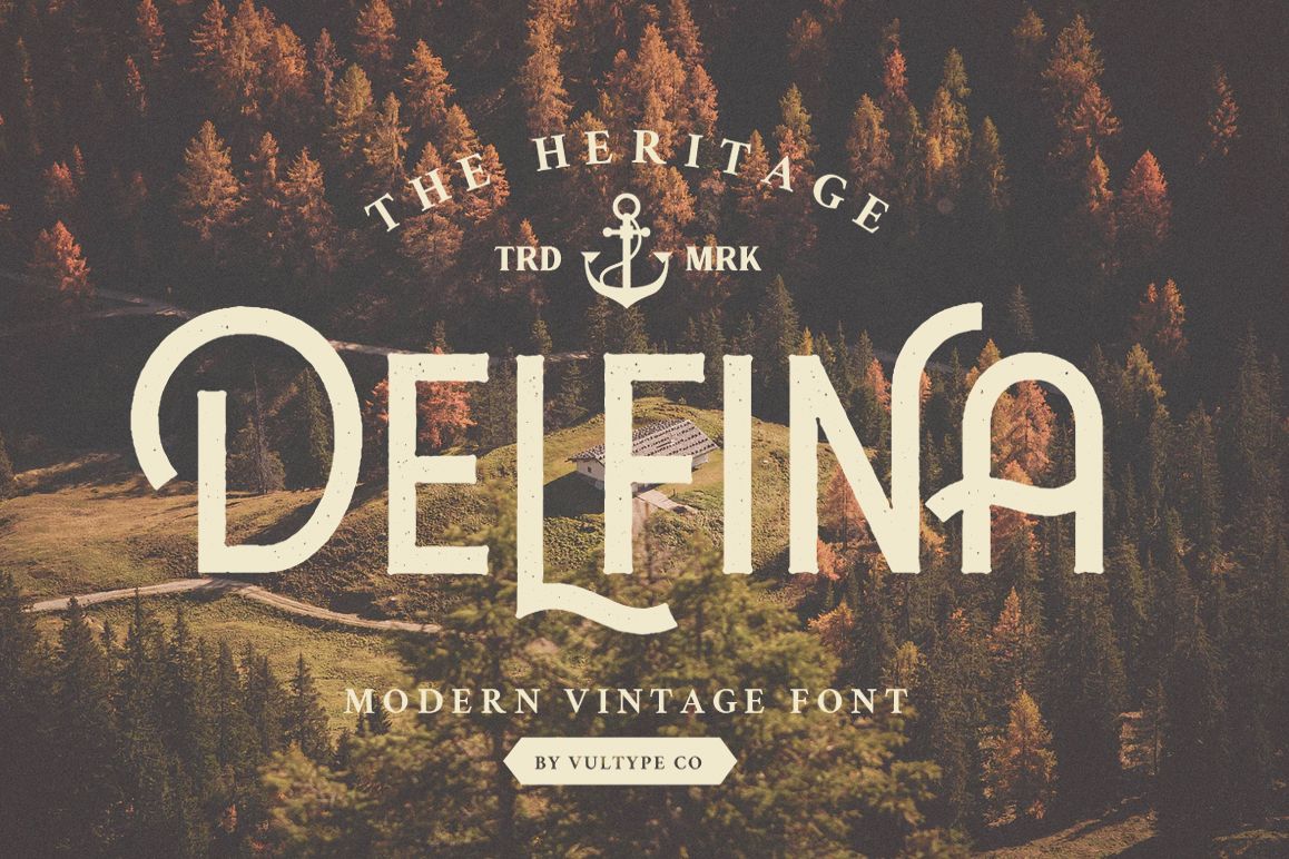DELFINA - Vintage Sans Serif Font example image 1
