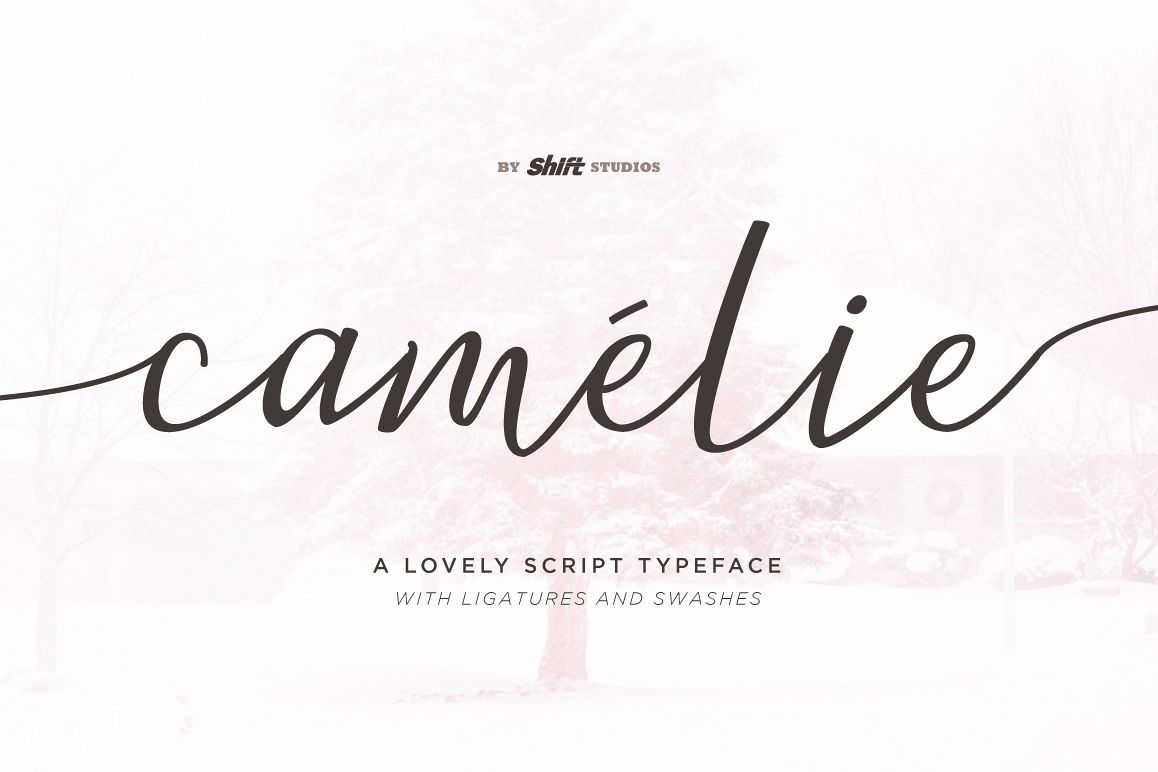 Camelie Typeface example image 1