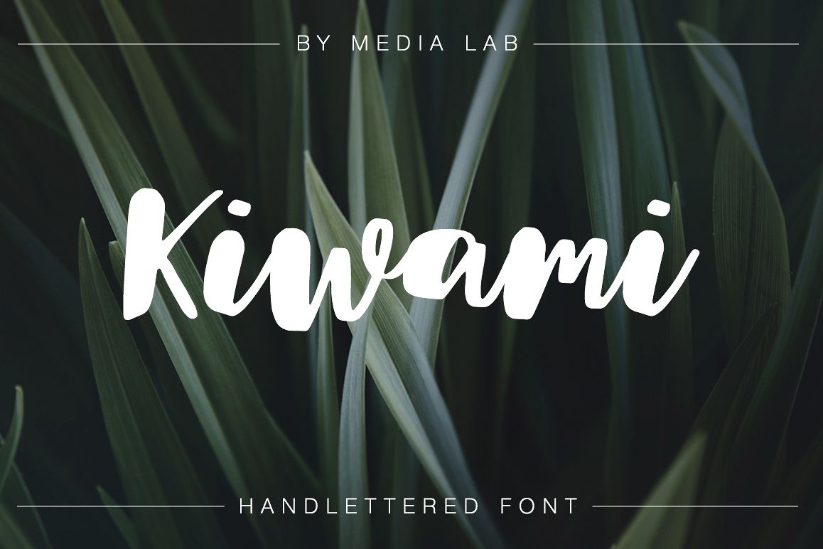 Kiwami example image 1