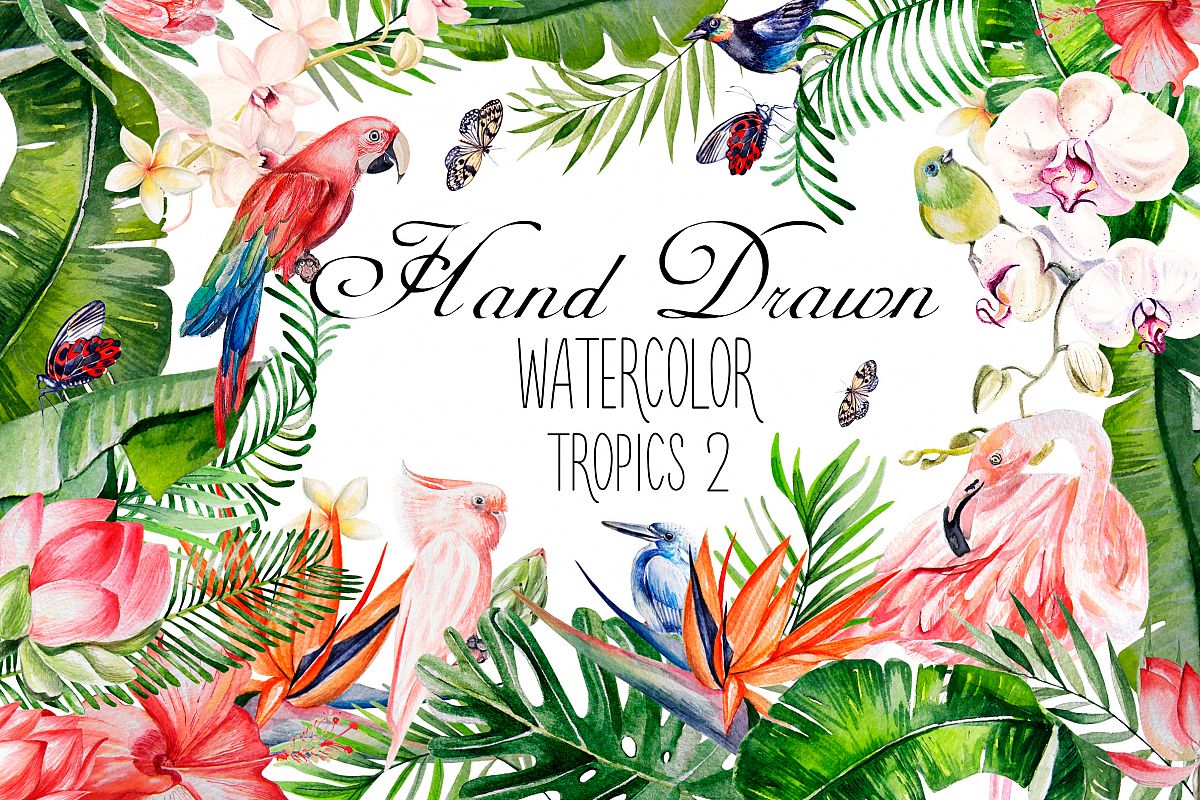 Hand Drawn watercolor TROPICS 2 example image 1