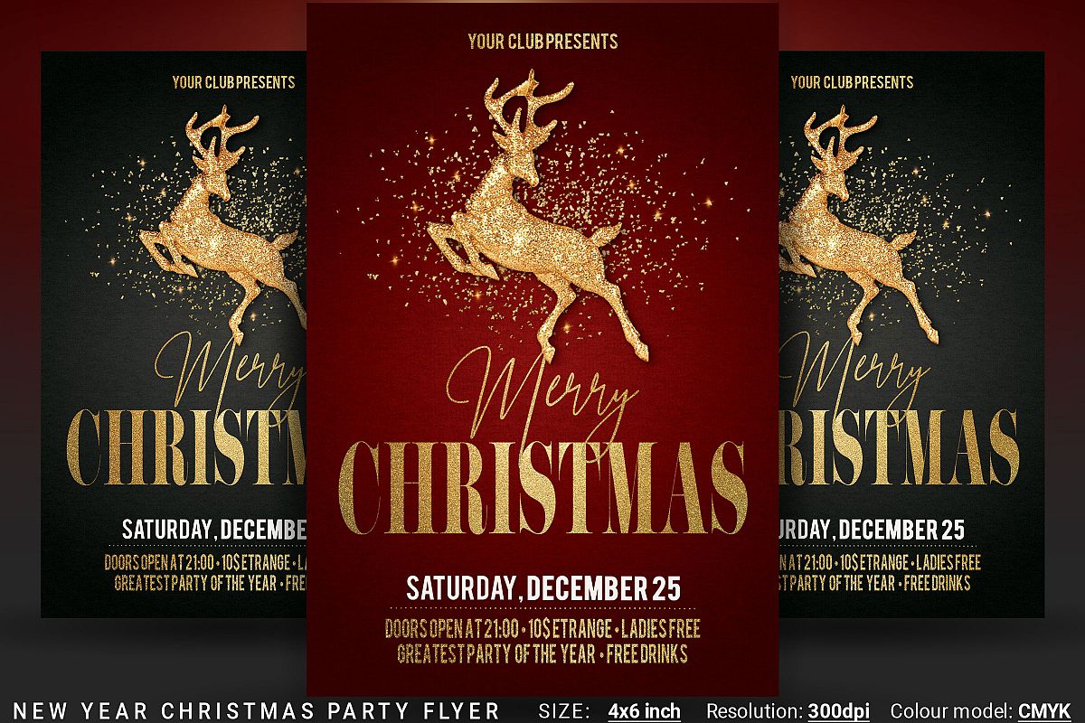 Christmas New Year Party Flyer example image 1