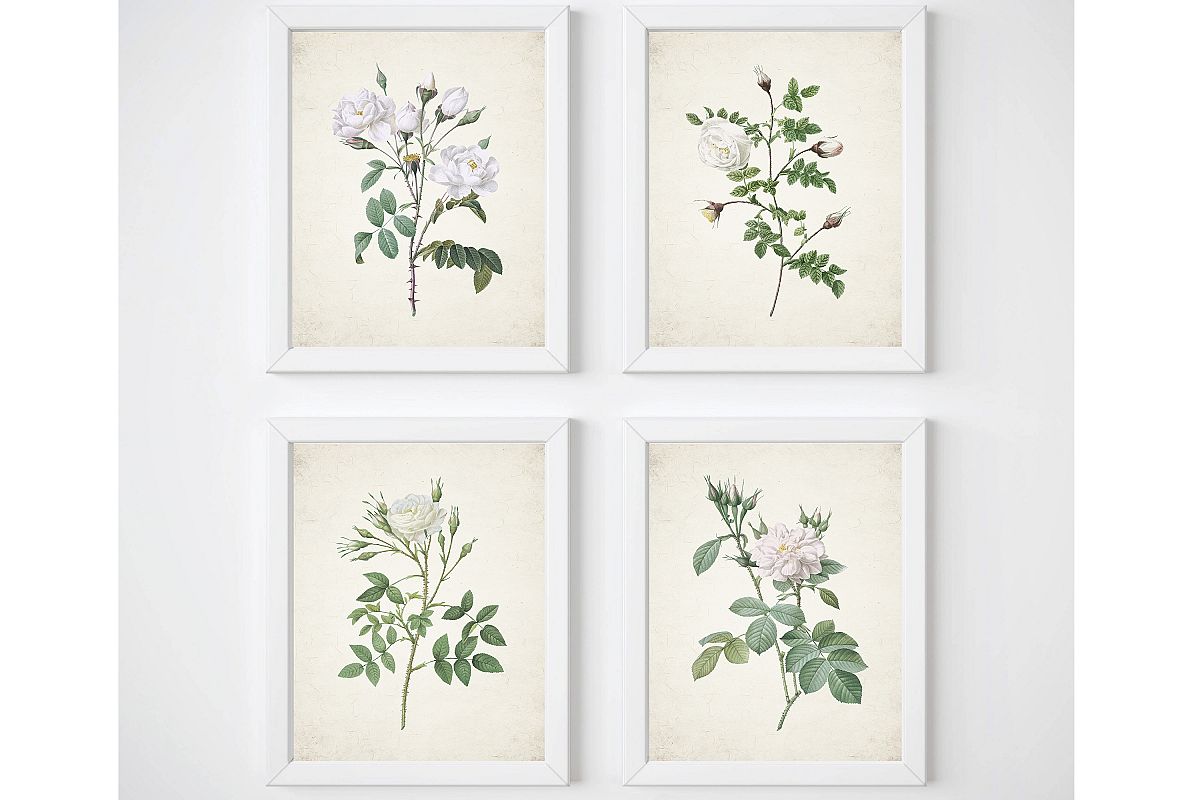 White Rose Print, Set of 4 Wall Art, Living Room Print Set example image 1